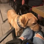 Patty McCauley - @pattymccauley1 - Instagram