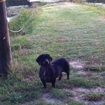 Patsy Smothers McClanahan - @smothersmcclanahan - Instagram