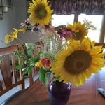 Patsy Mccormick - @patsy.mccormick.7140 - Instagram