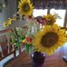 Patsy Mccormick - Facebook