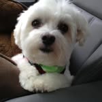 Patsy McCormick - @pdigmom - Instagram