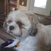 Patsy McCullough - Facebook