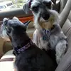 patsymcdonough6 - @patsymcdonough6 - TikTok