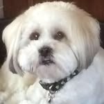 Patsy Mcgee - @patsy_mcgee2_ - Instagram