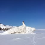 Patsy Mcgill - @pmcgill60 - Instagram