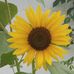 Patty Mcginty - Facebook