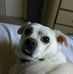 Patsy McGovern Lehman - Facebook