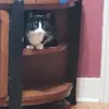 Patty McGrath - @patty.mcgrath - TikTok