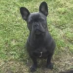 @x.patsymcgrath.xold - Instagram