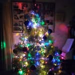 Patty McIntosh - @pattymcintosh.kolb - Instagram