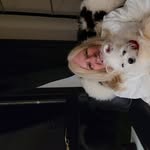 Patsy Mclean - @pat.mclean1952 - Instagram