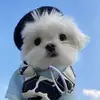 PatsyMcleod - @patsymcleod22 - TikTok