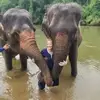 Patty McManus - @patty.mcmanus - TikTok