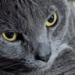 Pat McMullen Schamerhorn - @putmebythewater - Instagram
