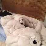 Patsy Medina - @medina.patsy - Instagram