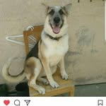 patsy mendez - @patsymendez909 - Instagram