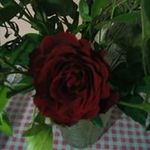 Patsy Zulileidy Mendoza - @patsy7459 - Instagram