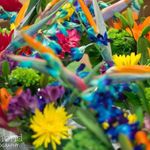 Patsy Ann Merrell Davis - @patsy.merrell - Instagram