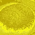 Patsy Michaela - @patsymichaela87 - Instagram