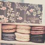 Patsy - @mike_patsy - Instagram