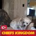 Patty Milligan - Facebook