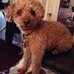 Pat Salamon Mooney - @patty3957 - Instagram