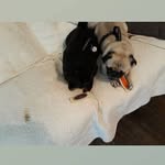 Patsy Mooney - @patsy.mooney.376 - Instagram