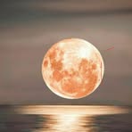 Patsy Mora - Facebook