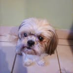 Patsy Moreno - Facebook
