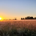 Patsy Morrow - Facebook