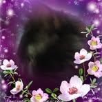 Patsy Morrow Clay - Facebook