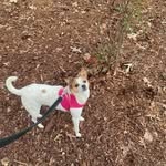 Patsy Peek Moss - @patsy.p.moss - Instagram