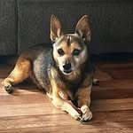 Patty Moss - @patty.moss.71653 - Instagram