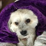 Patty Moyer - @moyer2577 - Instagram