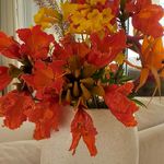 Patty Moyer - @patty_moyer - Instagram