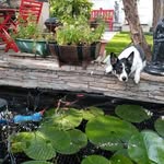 Patsy Murphy - @patsymurphy9696 - Instagram