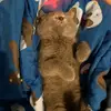 patsymurphy413 - @patsy_413 - TikTok