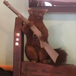 Patsy Murray - @patrickpatrick20222022 - Instagram