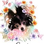 Patsy Needham - Facebook