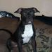 Patty Neely - Facebook