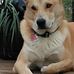 Patty Neely - Facebook