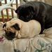 Patty Neff - Facebook