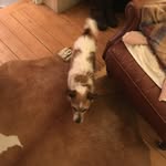 Patsy Newton - @patsynewton5 - Instagram