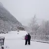 Pat Newell - @pat.newell - TikTok