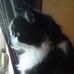 Patsy Newkirk - Facebook