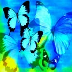 Patsy Newsom - Facebook