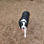 Patsy Nichols Morrison - @patsy.morrison.37 - Instagram