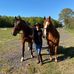 Patsy Noel - Facebook