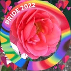 Patsy Northcutt - Facebook