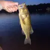 pat.obrien - @pat.obrien24 - TikTok